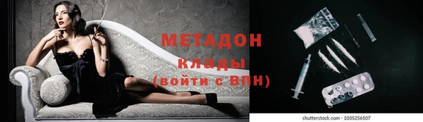 стаф Алзамай
