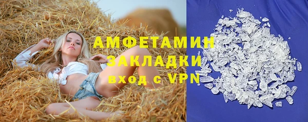 стаф Алзамай