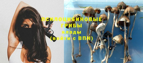 таблы Алексин