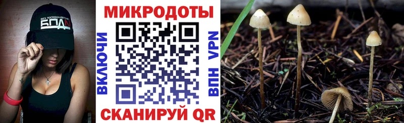 Псилоцибиновые грибы Magic Shrooms Ипатово